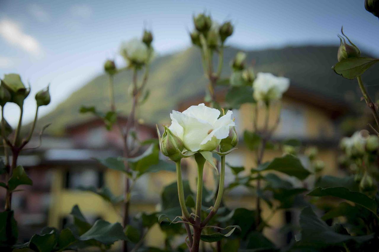 Apartamento La Collina Degli Ulivi Vercana Exterior foto